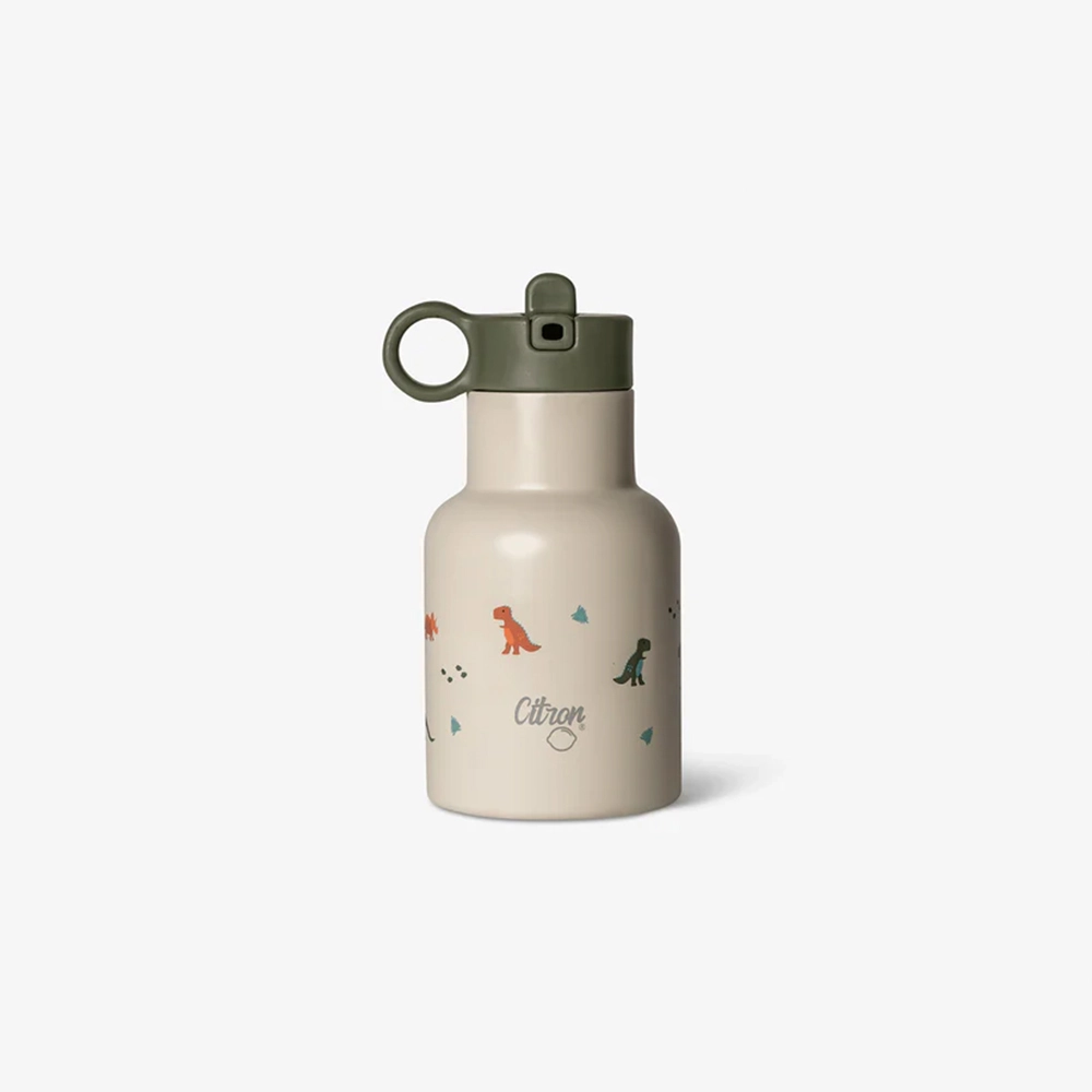 citron-sise-za-voda-250ml-dino