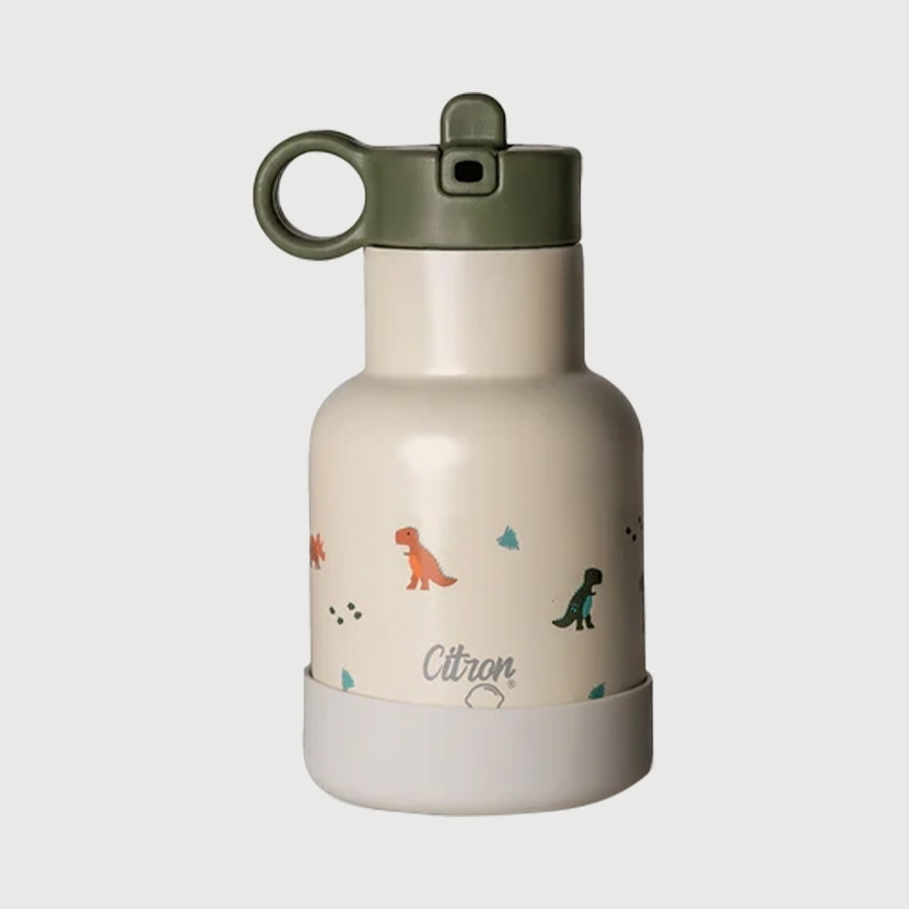 citron-sise-za-voda-250ml-dino