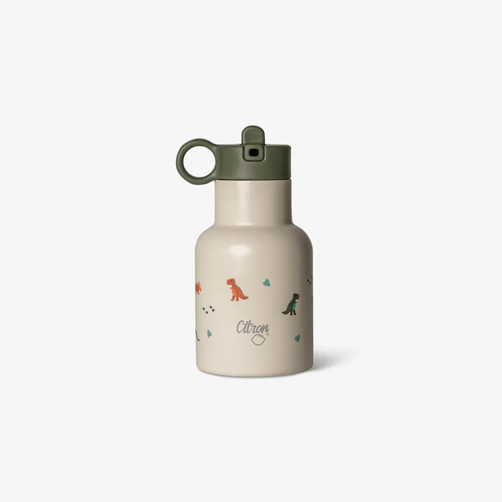 citron-sise-za-voda-250ml-dino